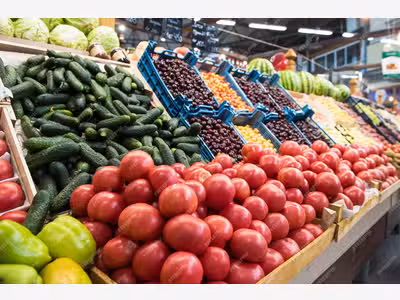 Vente FDC primeur Bas Val de Marne proche Paris