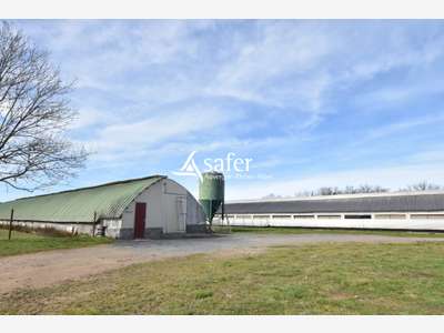 Vente propriété d'élevage avicole avec maison 03