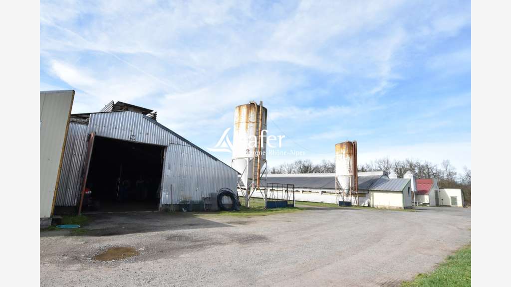 Vente propriété d'élevage avicole avec maison 03