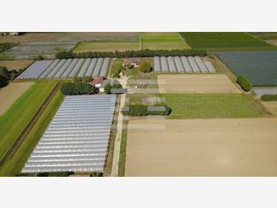 Vente propriété maraîchère 15 h en Lot-et-Garonne