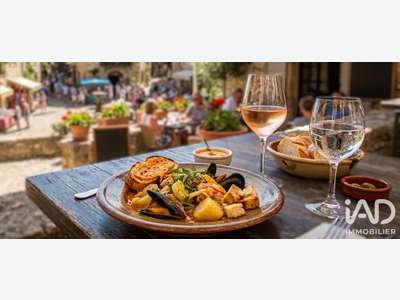 Vente restaurant avec licence III Argelès-sur-Mer