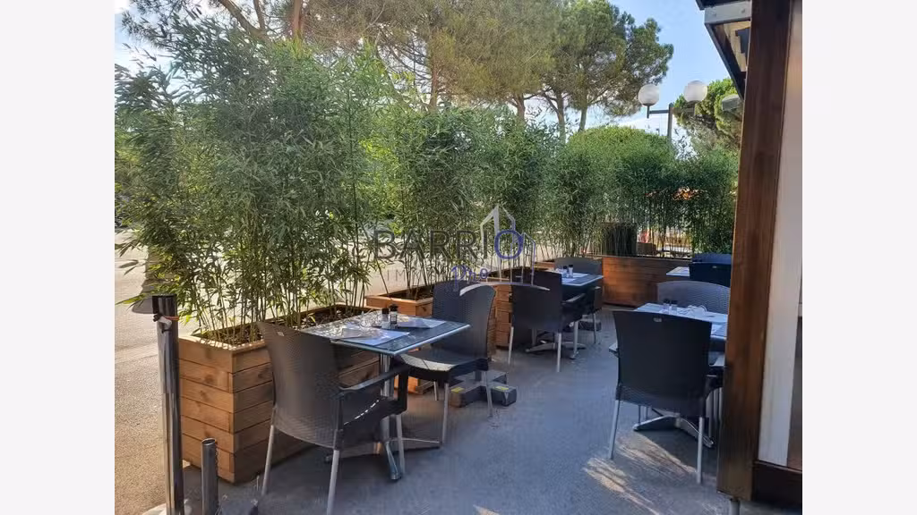Vente restaurant sur le port d'Argeles Sur Mer
