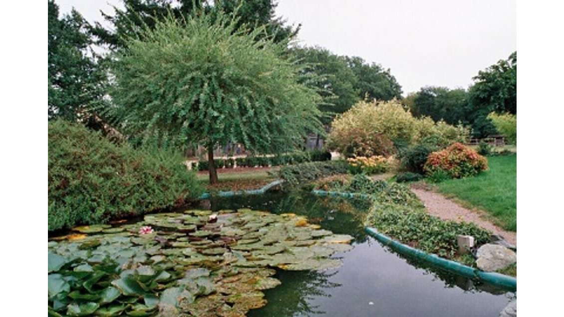 Restaurant traditionnel à vendre en Sarthe 