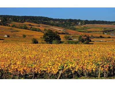 Vente Restaurant à Couchey