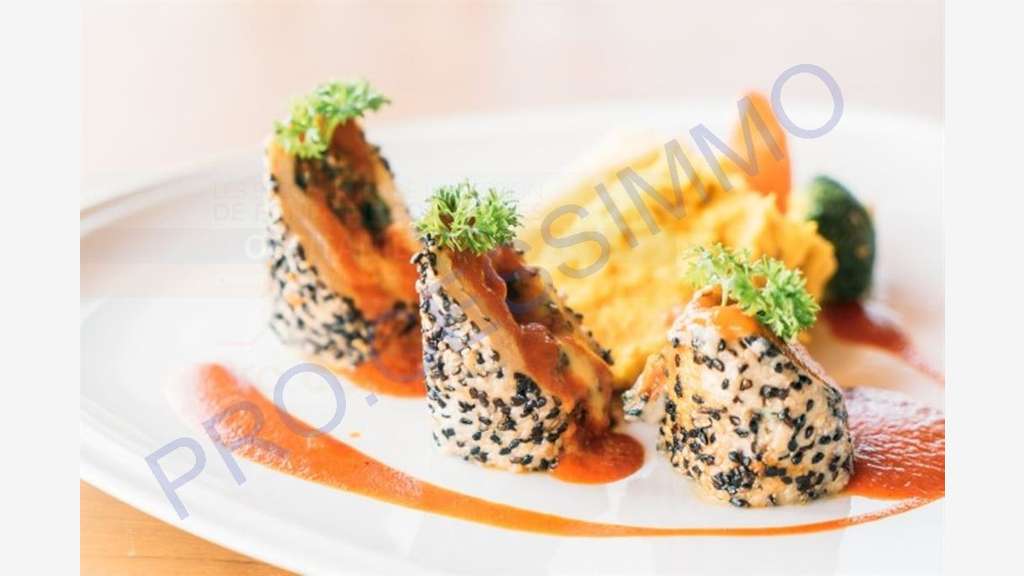 Vente restaurant en bord de mer dept Hérault
