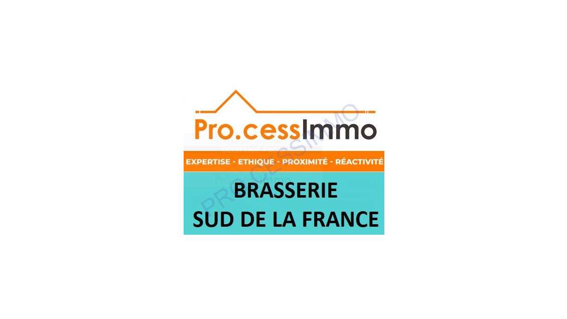 Restaurant lic 3-Ville touristique Sud-EBE 150 K €