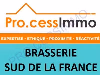 Restaurant lic 3-Ville touristique Sud-EBE 150 K €