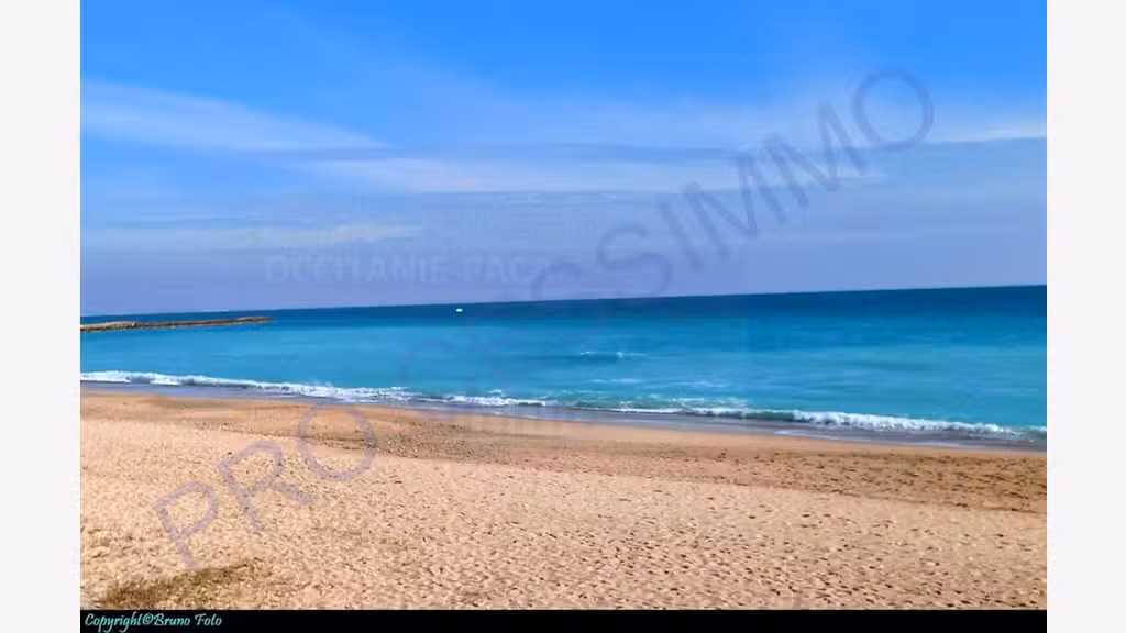 AV brasserie Port Hérault CA 1.010 K€ –ebe390 K € 
