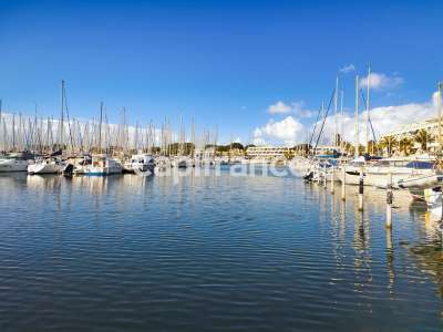 Vente Restaurant au Grau-du-Roi