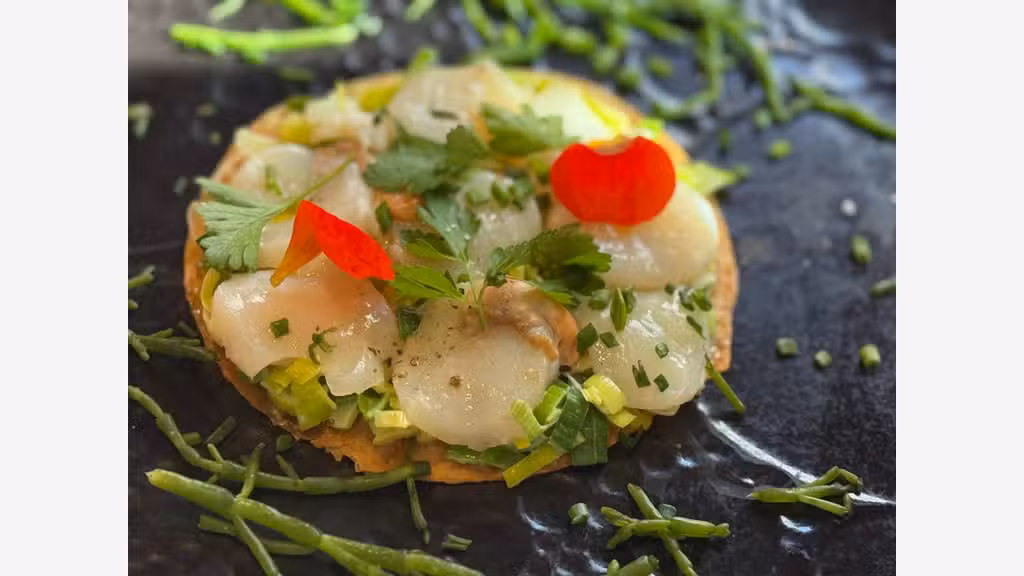 Vente restaurant de 144m² Le Touquet-Paris-Plage