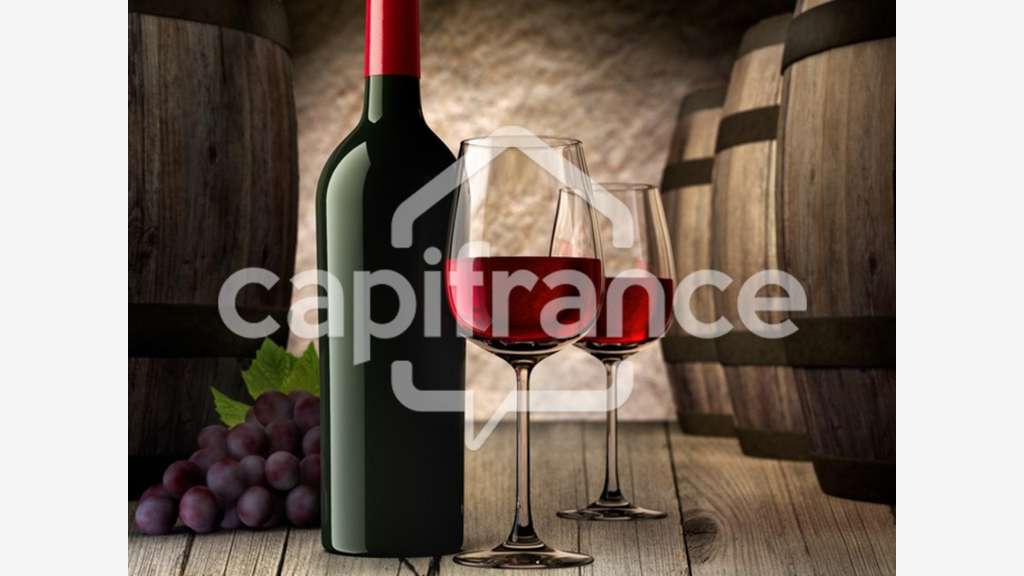 Proche de LILLE (59) - Restaurant 80 couverts