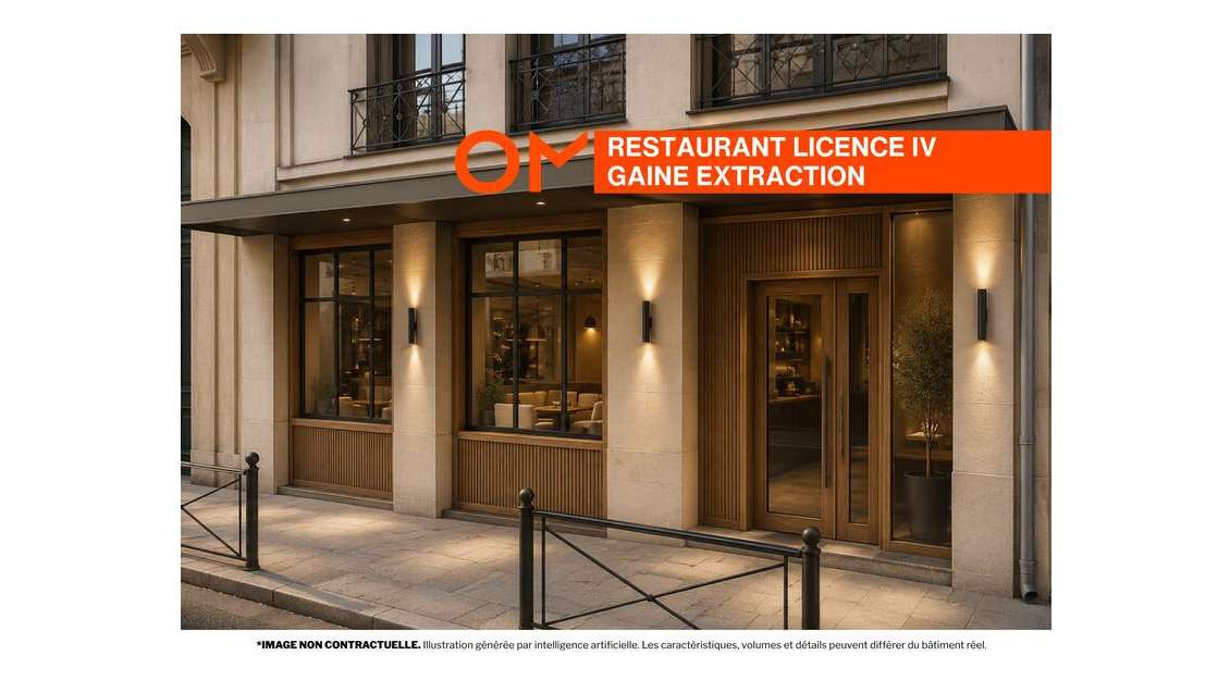 LICENCE IV - GAINE D'EXTRACTION LYON 69002