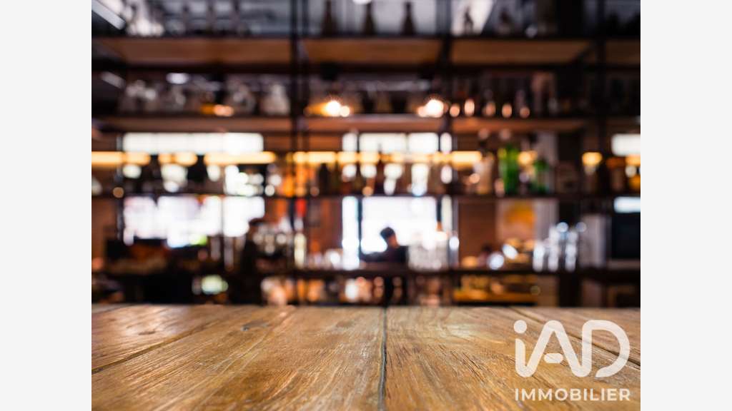 Vente bar restaurant Lic IV à Lyon