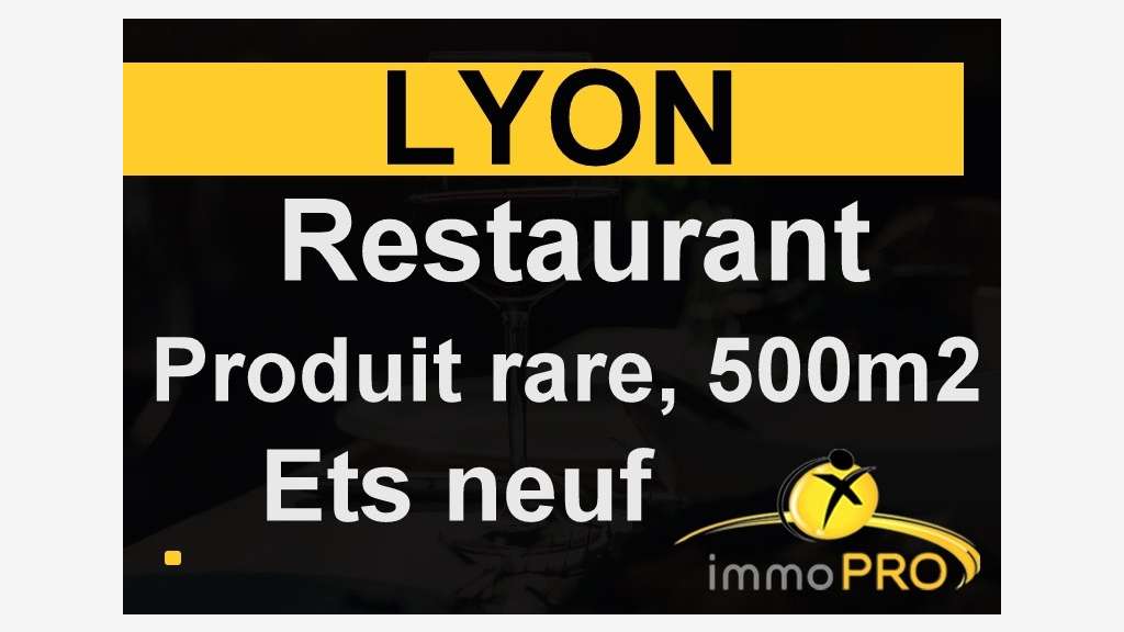 A vendre superbe restaurant situé à Lyon centre