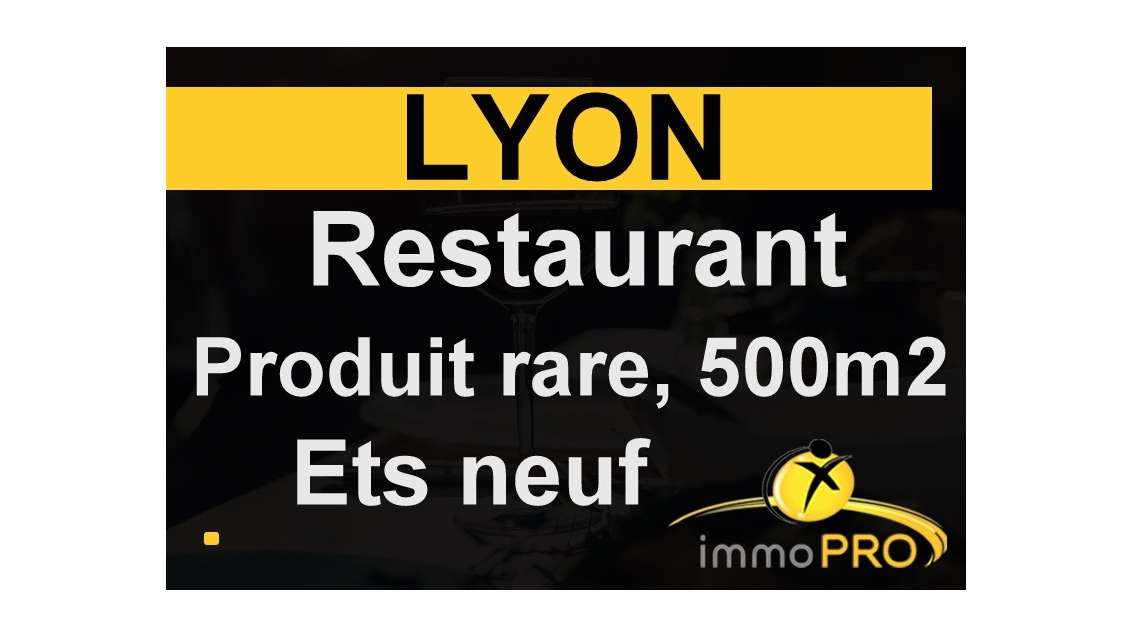 A vendre superbe restaurant situé à Lyon centre