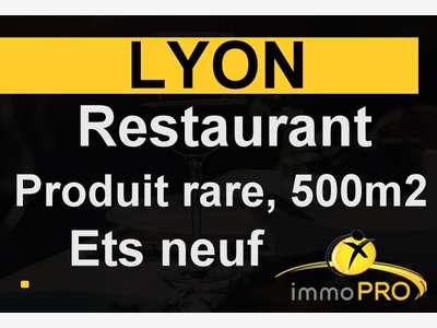 A vendre superbe restaurant situé à Lyon centre
