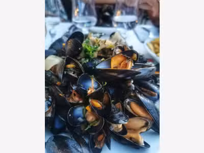 44 -FONDS COMMERCE RESTAURANT LITTORAL 44
