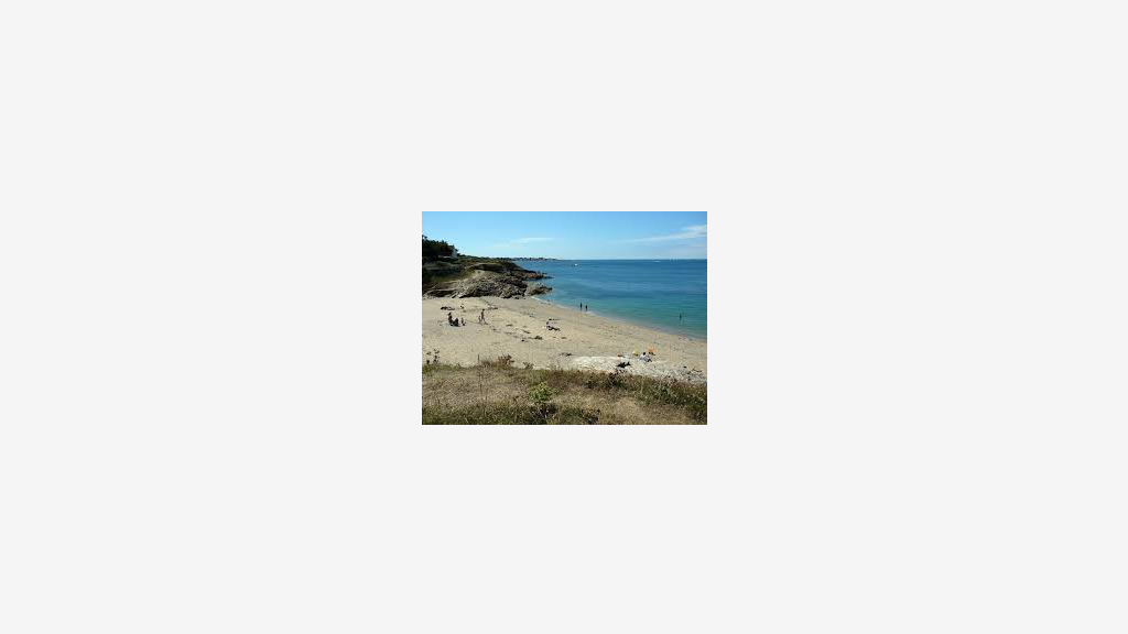 Vente restaurant grillades lic IV à Piriac sur Mer