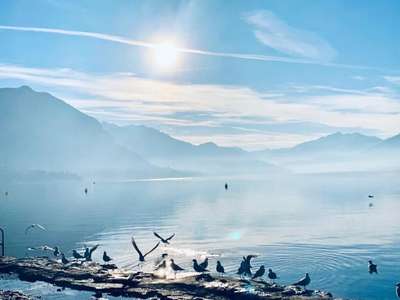 Vente Restaurant à Annecy