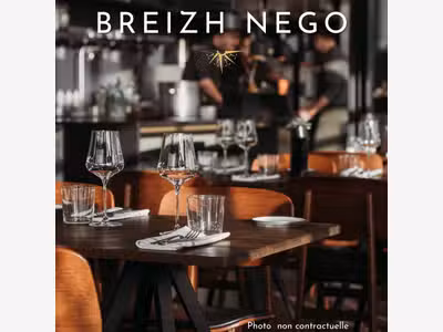 Vente restaurant pizzeria ville touristique du 56