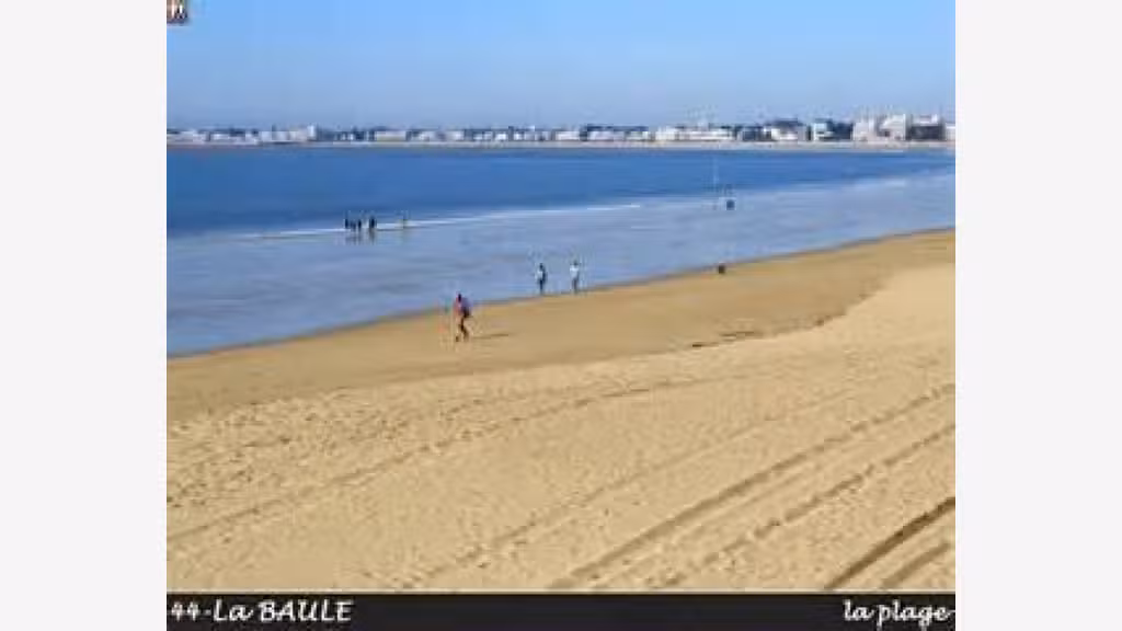 Vente restaurant pizzeria sect La Baule Pornichet