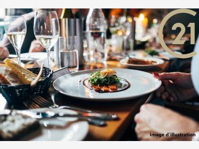 Vente restaurant du midi Lic  IV brasserie ZA 66