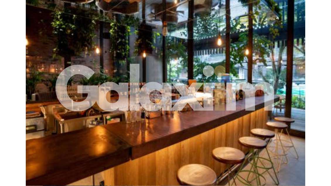 Vente restaurant lic IV à Rennes Ecopole sud est