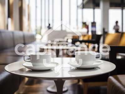 Vente Restaurant à Saint-Égrève