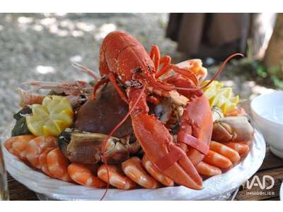 Vente Restaurant à Saint-Pierre-d'Oléron
