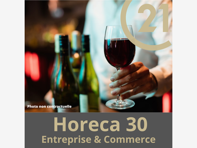 Vente restaurant + murs 500m² prox St Remy de Pce