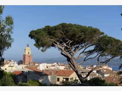A vendre restaurant tout équipé à Saint-Tropez
