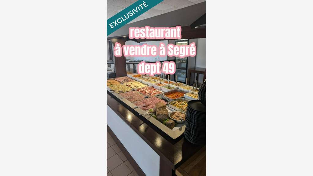 Vente restaurant d'envergure à Segré-en-Anjou Bleu