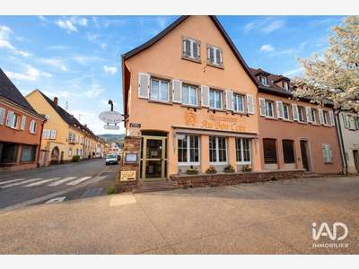 Vente restaurant traditionnel à Sigolsheim