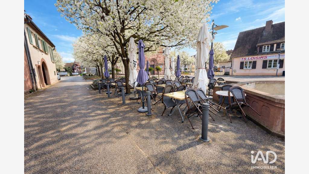 Vente restaurant traditionnel à Sigolsheim
