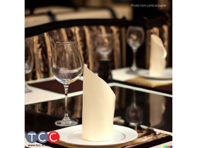 Vente Restaurant à Toulouse