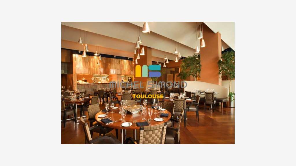 AV restaurant lic IV centre ville proche Toulouse 