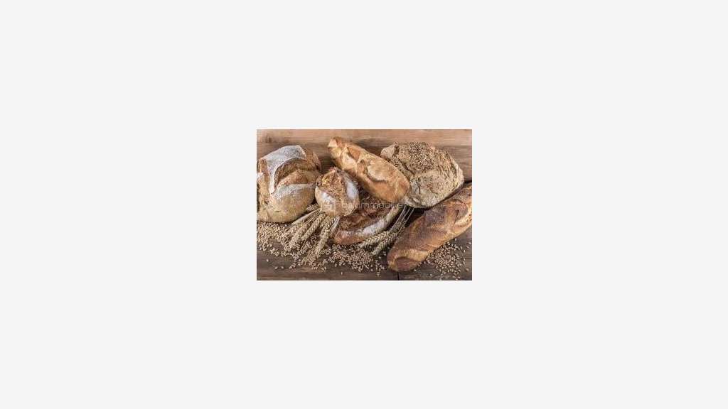 Vente boulangerie pâtisserie empl N°1 en zc à Agen