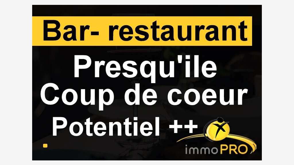 Vente superbe bar restaurant en parfait état Lyon