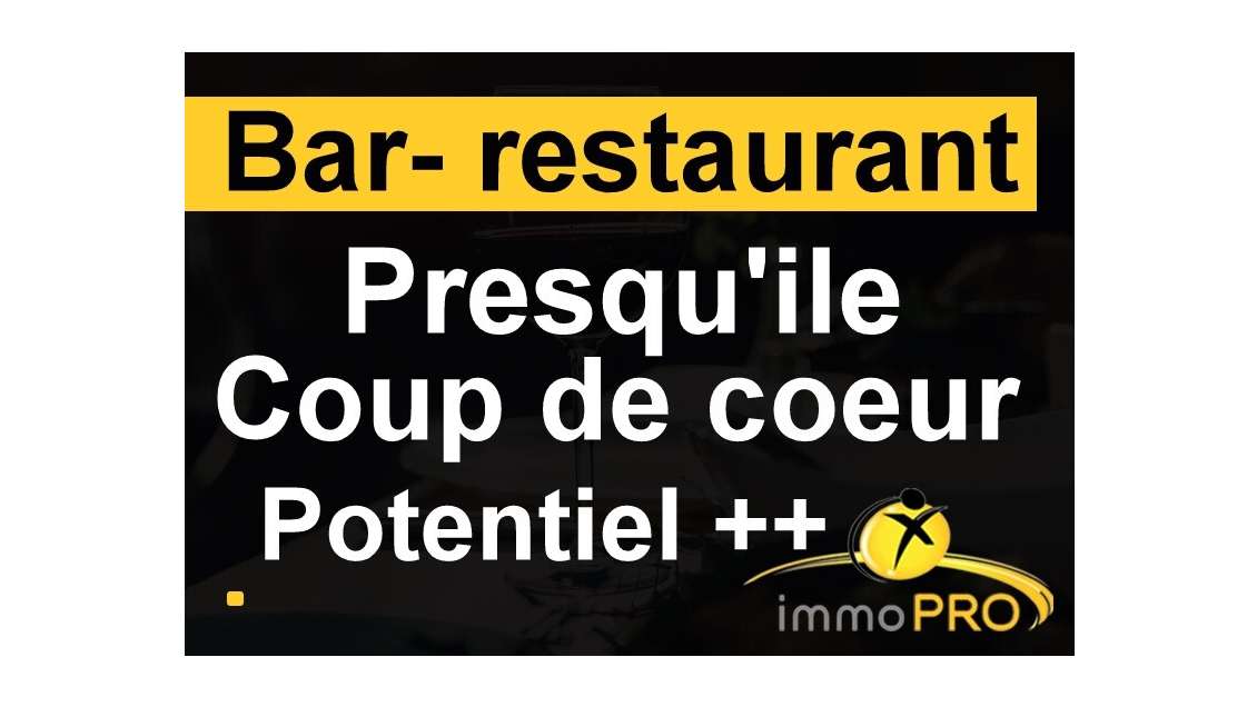 Vente superbe bar restaurant en parfait état Lyon
