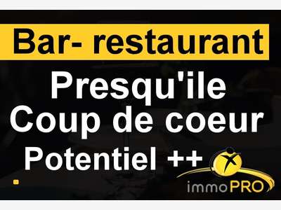 Vente superbe bar restaurant en parfait état Lyon