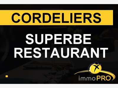 Superbe restaurant à vendre à Lyon Cordeliers