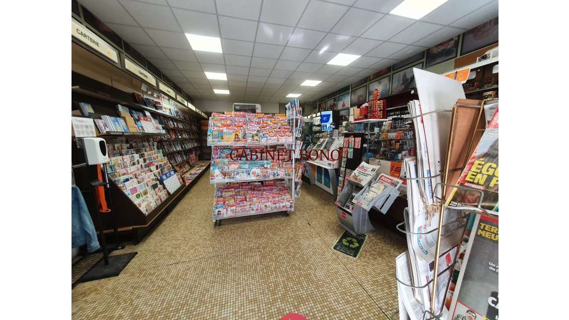 Vente civette dans le secteur de Laon