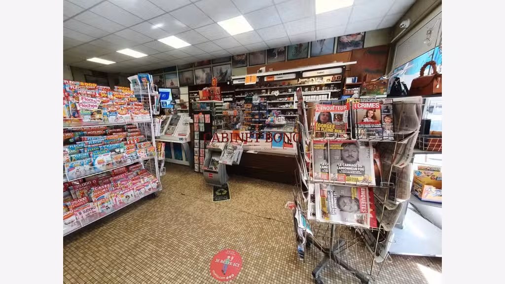 Vente civette dans le secteur de Laon