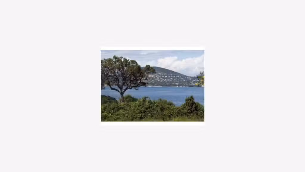 8 VILLAS GASSIN (83) FRANCE