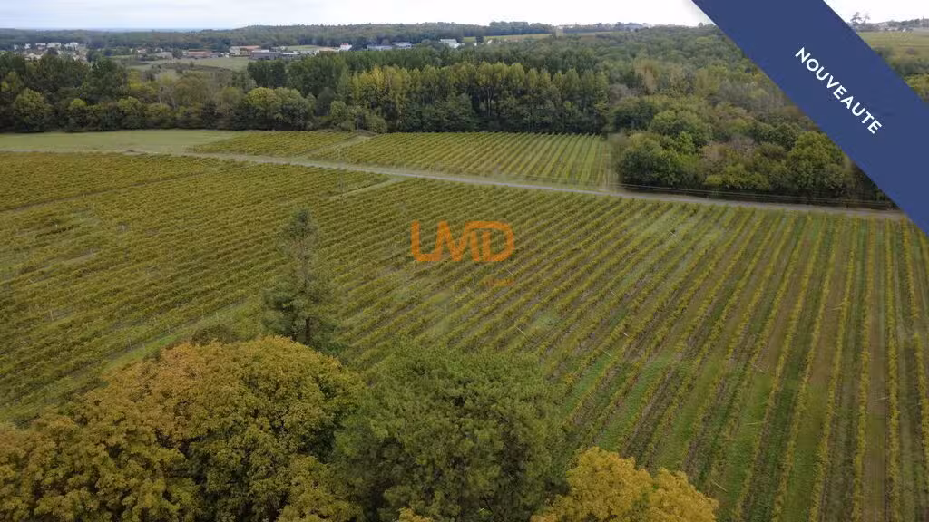 Vente domaine viticole en Borderies secteur Cognac
