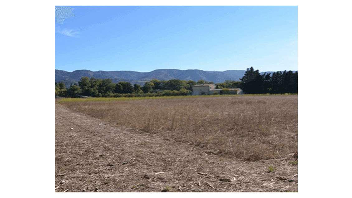 Vend terrain à vocation touristique à Cheval Blanc
