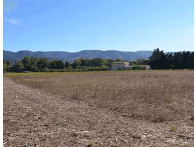 Vente Terrains industriels et agricoles à Cheval-Blanc