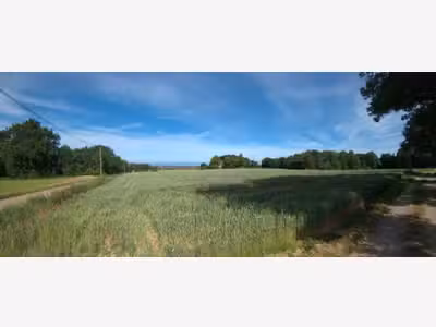 A vendre 3 parcelles de 8828m² à Roybon (38940)