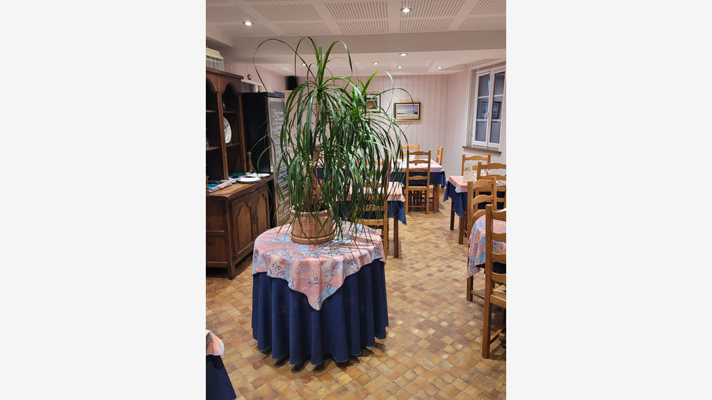 A vendre très beau bar restaurant connu Finistère