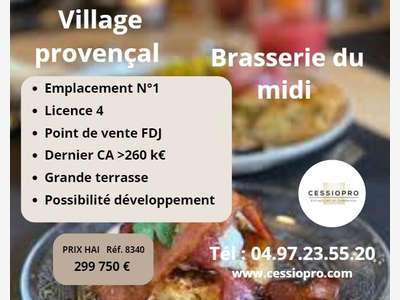Vend belle brasserie du midi FDJ l4 à Salon de Pce